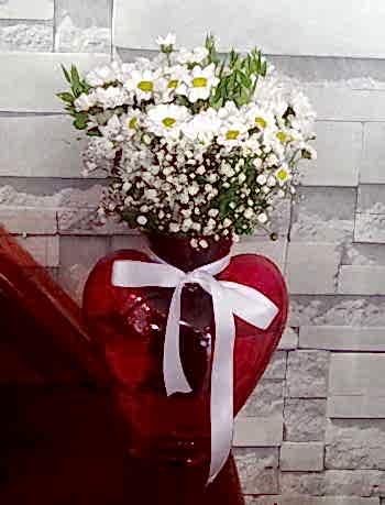 Kalp Vazoda Papatyalar