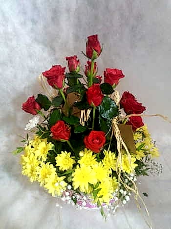 Sar� Papatya ve g�ller