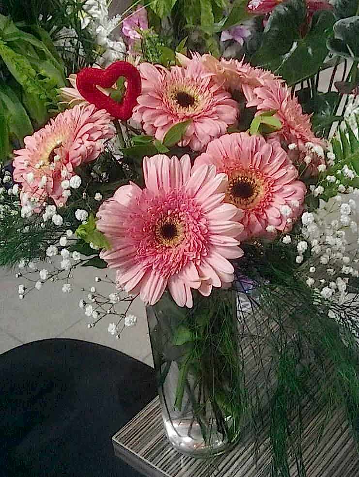 Gerbera Arajman�