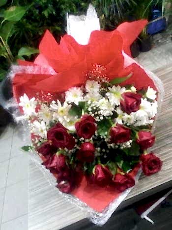 K�rm�z� g�ller ve papatya