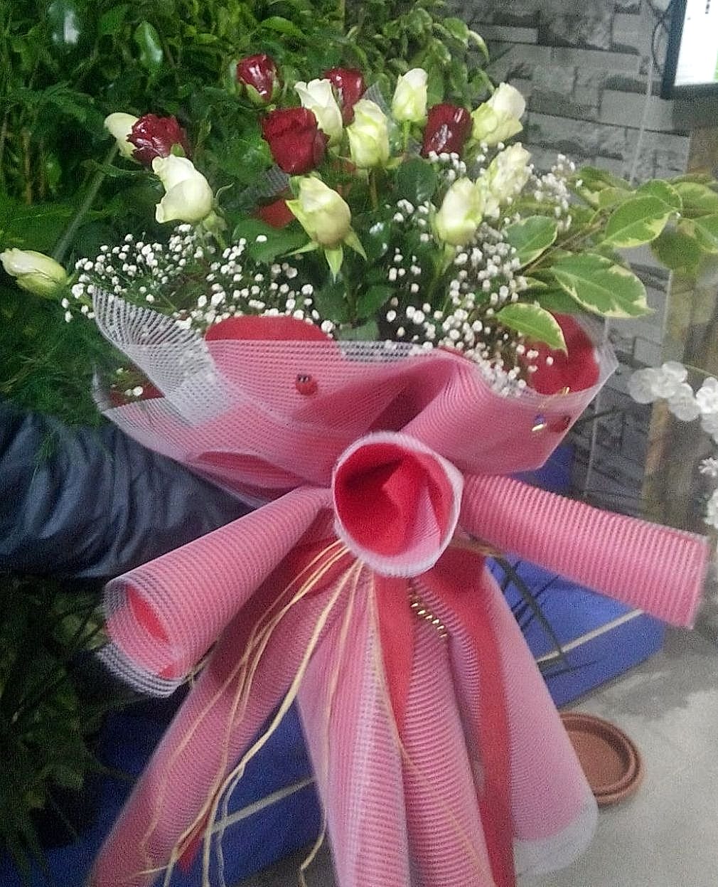 K�rm�z� Beyaz g�ller