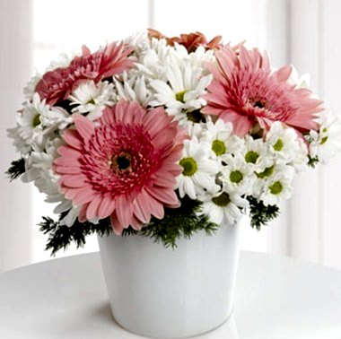 Seramik Vazo ve Gerberalar 